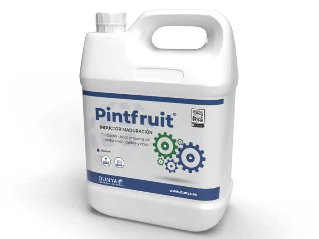 PINTFRUIT