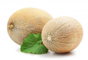 melon