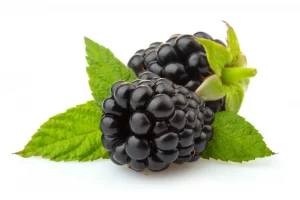 moras