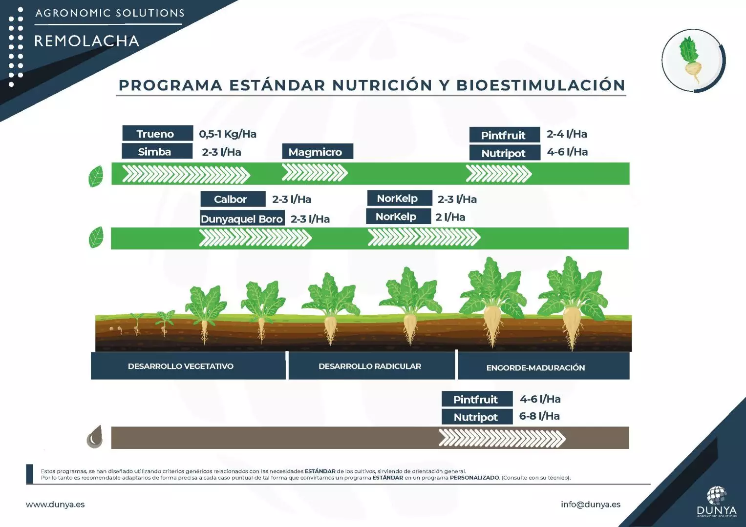 PROGRAMA REMOLACHA-R1-min_Página_1