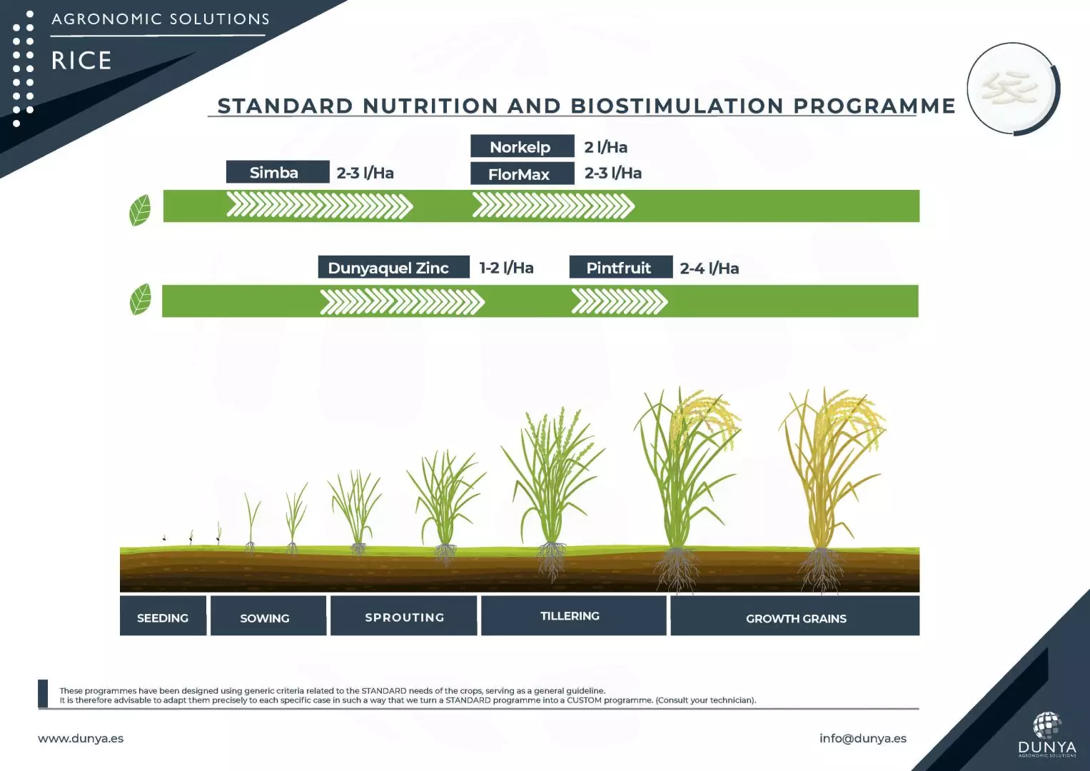 PROGRAMME RICE -RGB