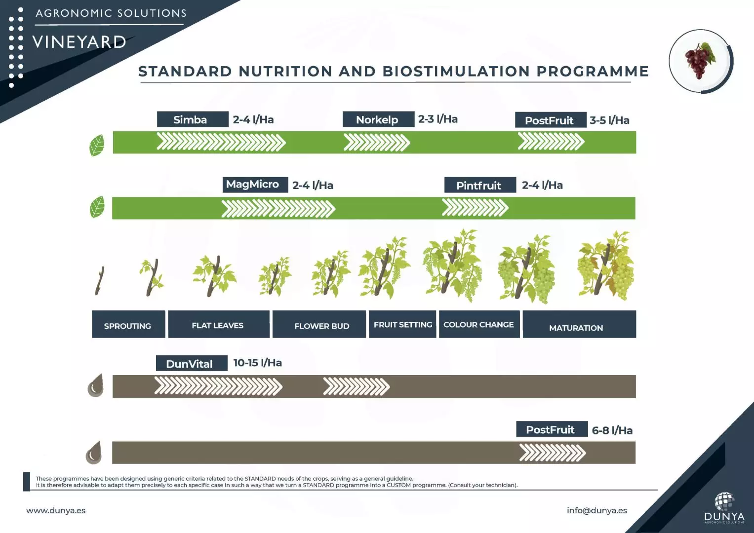 PROGRAMME VINEYARD -RGB