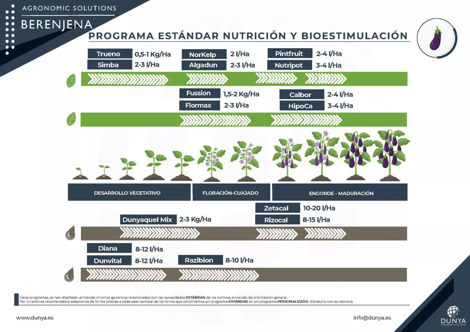 PROGRAMA BERENJENA -R1-ESP_Página_1